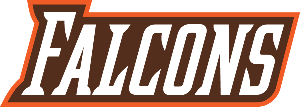 Bowling Green Falcons 2006-Pres Wordmark Logo v2 iron on transfers for clothing